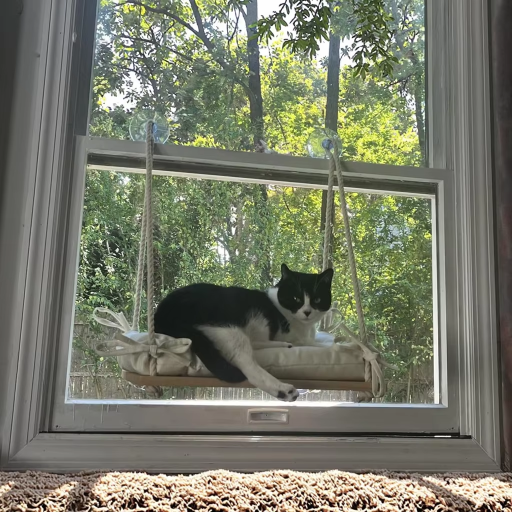 Cat Window Perch Hammock Bed Solid Wood Seat with 4 Strong Suction Cups Soft Cushion Indoor Pet Shelf - Image 7