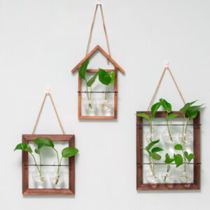 Vintage Wood Frame Glass Vase Wall Hanging Decor for Home Hydroponic Plants and Flower Display