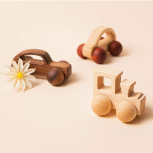 3-Pack Montessori Baby Wooden Toys | Natural Wood Grasping, Rattle & Push Car for Newborn & Infant Sensory Play